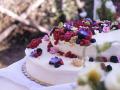 matrimonio_picnic_giardino_blineventiweddingplanner (34)
