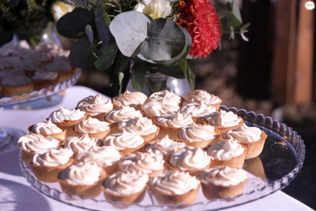 unmatrimoniopicnicingiardino_wedding_blineventi